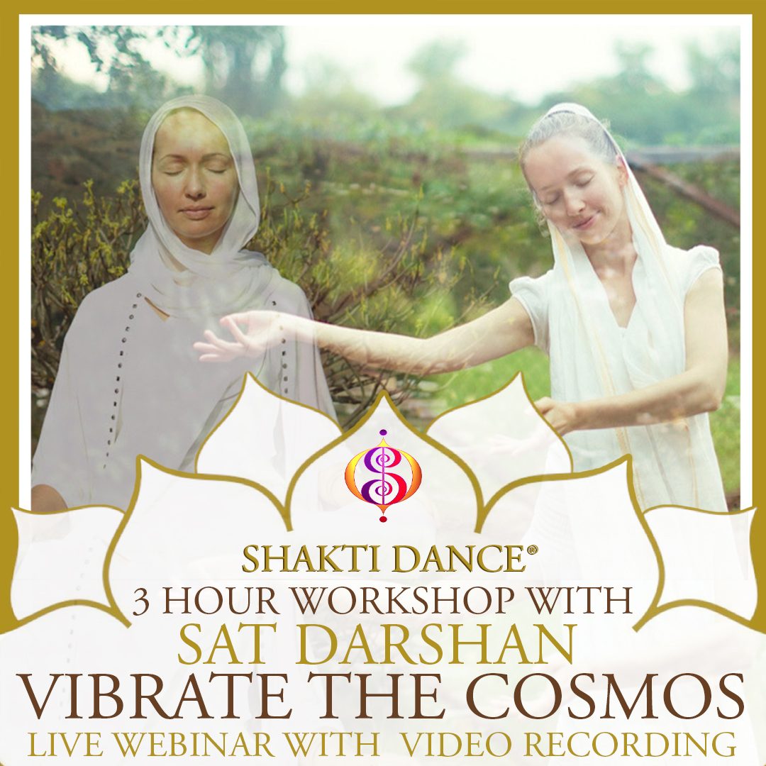 Shakti Dance - Vibrate the Cosmos